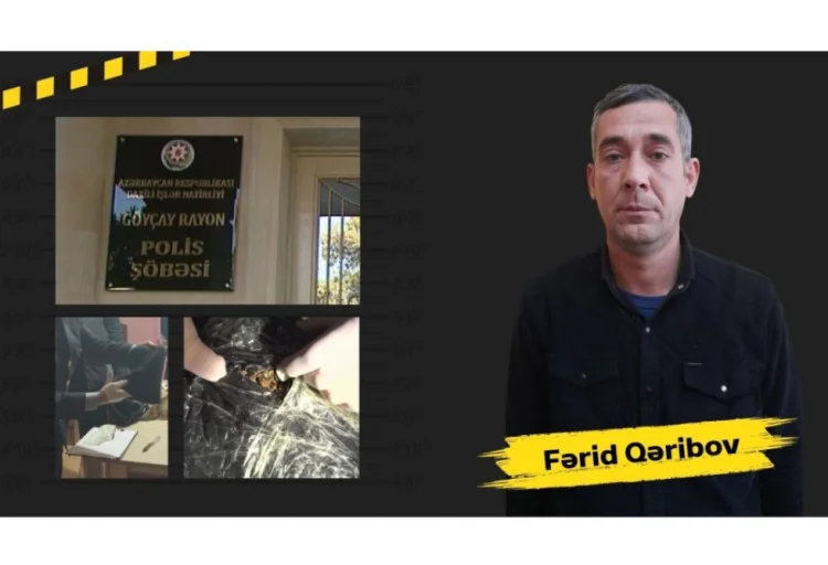 Göyçayda quldurluq edən şəxsdən narkotik vasitə aşkarlanıb