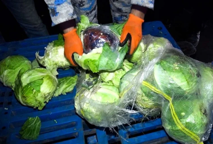 İrandan Gürcüstana narkotikin keçirilməsinin qarşısı alınıb