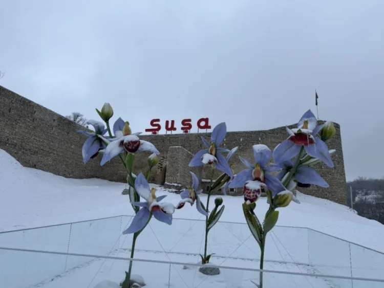 Şuşaya mövsümün növbəti qarı yağıb