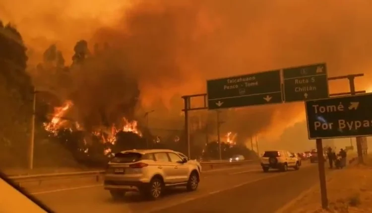Çilidə meşə yanğınlarında ən azı 18 nəfər həlak olub FOTO