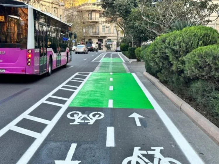 Millət vəkili velosiped zolaqlarını sərt tənqid etdi