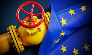 Avropa qaza nəzarəti gücləndirir