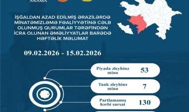 Azad edilmiş ərazilərdə daha 60 mina, 130 PHS tapılıb