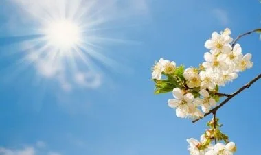 Baharın Azərbaycana daxil olacağı vaxt açıqlanıb