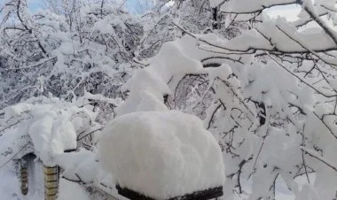 Ölkədə soyuq hava müşahidə olunur