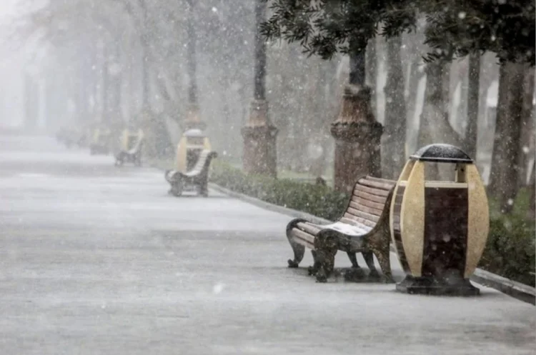 Sabah yenə qar gözlənilir, temperatur 8 dərəcə enəcək