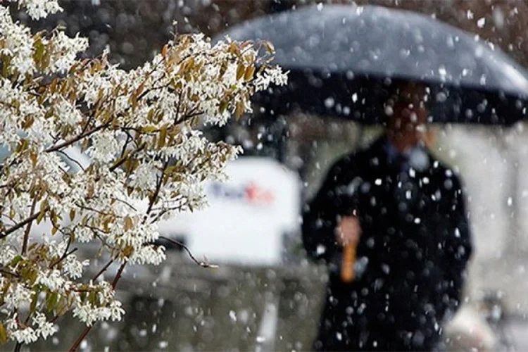 Sabah ölkədə hava necə olacaq?
