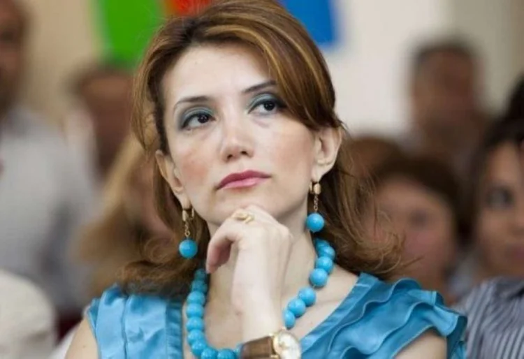 Gültəkin Hacıbəyli Türkiyədən Azərbaycana deportasiya olunub