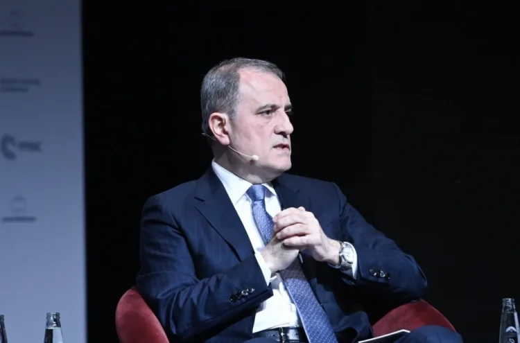Ceyhun Bayramov Münhendə paneldə iştirak edib