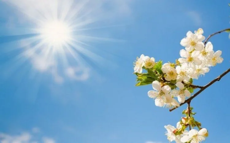 Baharın Azərbaycana daxil olacağı vaxt açıqlanıb