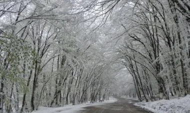 Ölkənin şimal və qərb rayonlarına qar yağacaq
