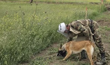 Azad edilmiş ərazilərdə daha 23 mina, 743 PHS aşkarlanıb