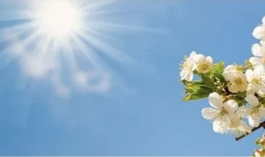 Sabahın hava proqnozu açıqlanıb: 20 dərəcə isti olacaq