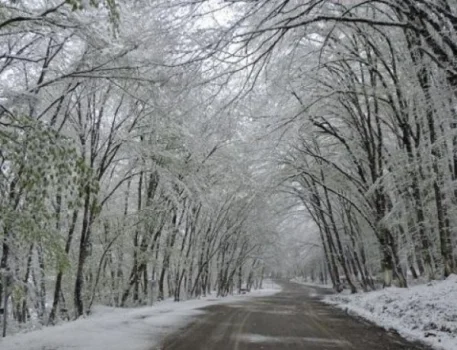 Ölkənin şimal və qərb rayonlarına qar yağacaq