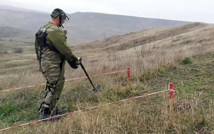 ANAMA fevral ayında neçə mina və PHS aşkarlayıb?