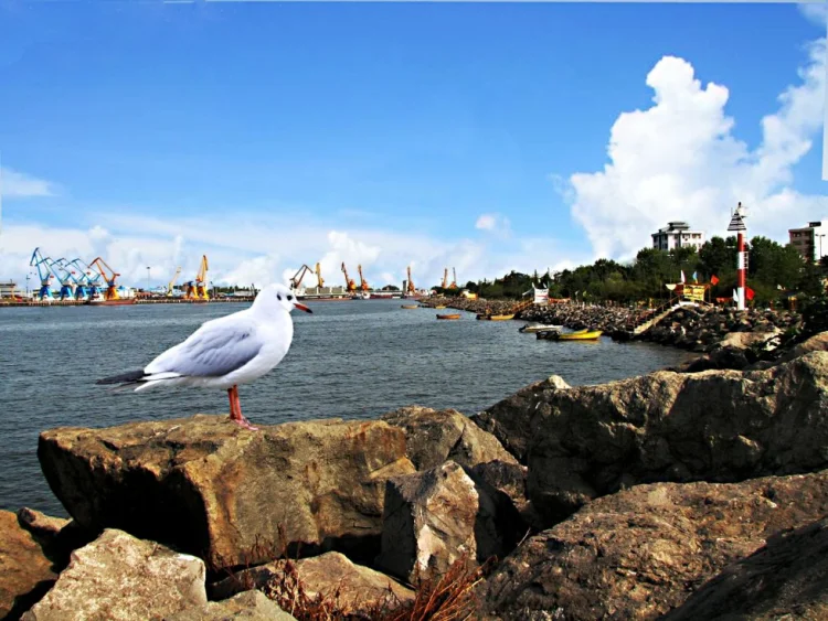 İranın Xəzərdəki  donanması yaxşı batır...