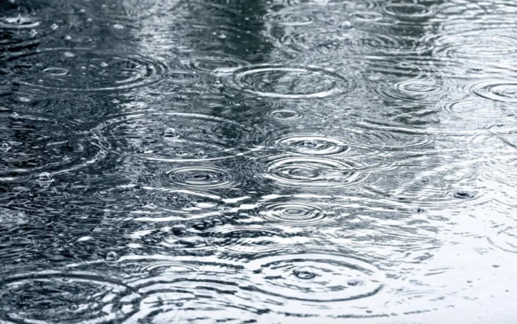 Ölkə ərazisində yağıntılı hava şəraiti müşahidə olunur