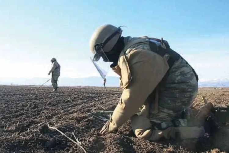 Minatəmizləmədə həlak olanların ailələrinə təqaüd veriləcək