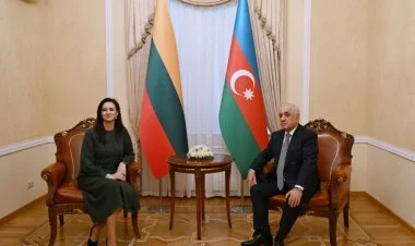 Azərbaycanın və Litvanın Baş nazirləri Bakıda görüşüblər