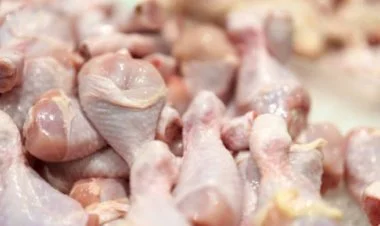 İdxal edilən toyuq məhsullarında uyğunsuzluq aşkarlanıb