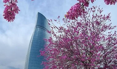 Sabah Azərbaycanda hava necə olacaq?