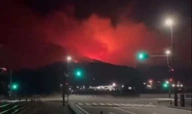 Yaponiyanın şimal-şərqində dəhşətli meşə yanğınları