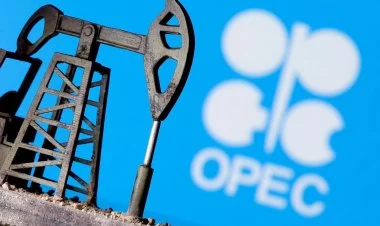 Venesuela da OPEC-dən çıxa bilər