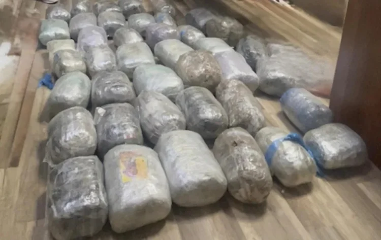 Qaradağda 42 kiloqram narkotik aşkarlanıb