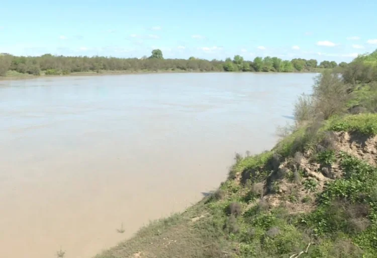 Zərdabda Kür çayında suyun səviyyəsi artıb