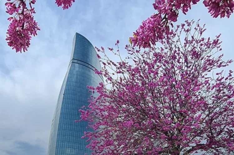 Sabah Azərbaycanda hava necə olacaq?