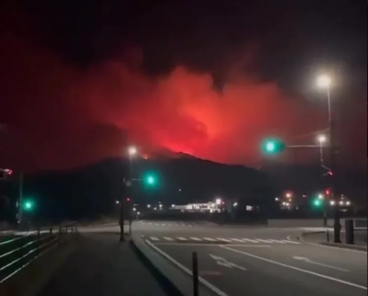 Yaponiyanın şimal-şərqində dəhşətli meşə yanğınları