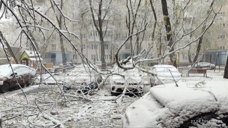 Rusiya paytaxtına qış qayıdıb, qar örtüyünün qalınlığı 12 sm