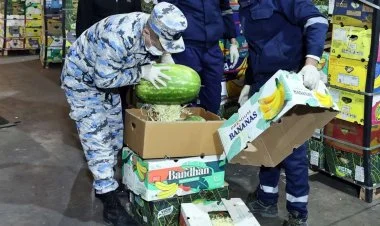 "Qarpız" yükündə narkotik vasitə aşkar edilib
